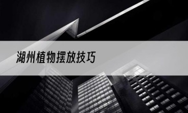 湖州植物摆放技巧