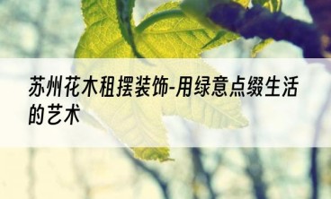 苏州花木租摆装饰-用绿意点缀生活的艺术