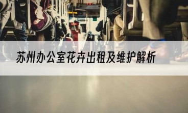 苏州办公室花卉出租及维护解析