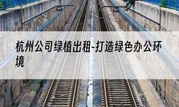 杭州公司绿植出租-打造绿色办公环境