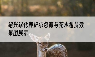 绍兴绿化养护承包商与花木租赁效果图展示