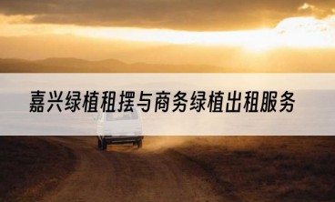 嘉兴绿植租摆与商务绿植出租服务