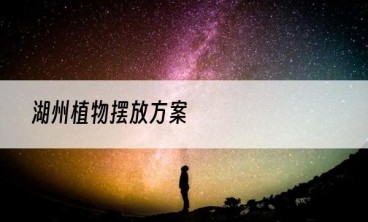 湖州植物摆放方案
