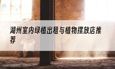 湖州室内绿植出租与植物摆放店推荐