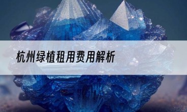 杭州绿植租用费用解析