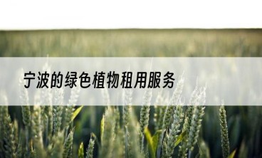 宁波的绿色植物租用服务