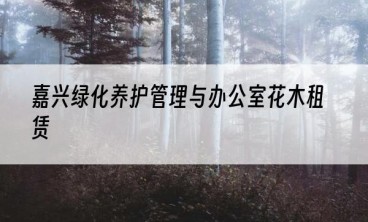嘉兴绿化养护管理与办公室花木租赁