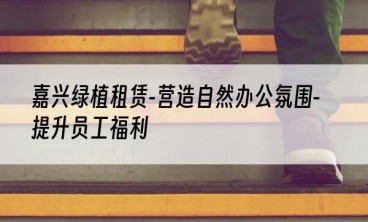 嘉兴绿植租赁-营造自然办公氛围-提升员工福利