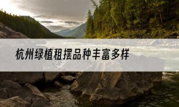 杭州绿植租摆品种丰富多样
