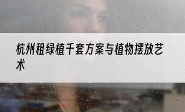 杭州租绿植千套方案与植物摆放艺术