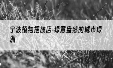 宁波植物摆放店-绿意盎然的城市绿洲
