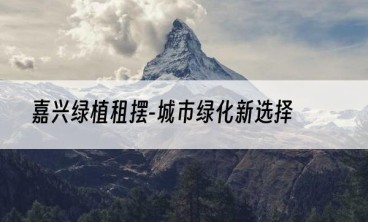 嘉兴绿植租摆-城市绿化新选择