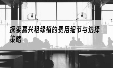 探索嘉兴租绿植的费用细节与选择策略