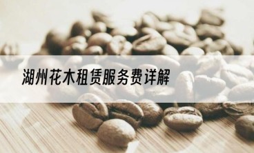 湖州花木租赁服务费详解