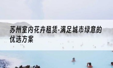 苏州室内花卉租赁-满足城市绿意的优选方案