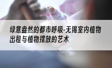 绿意盎然的都市呼吸-无锡室内植物出租与植物摆放的艺术