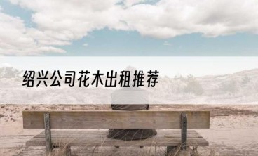 绍兴公司花木出租推荐