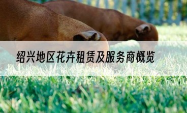 绍兴地区花卉租赁及服务商概览