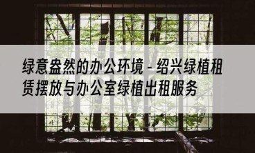 绿意盎然的办公环境 - 绍兴绿植租赁摆放与办公室绿植出租服务