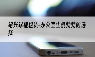 绍兴绿植租赁-办公室生机勃勃的选择