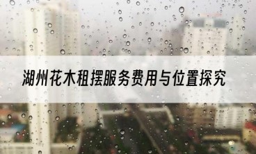 湖州花木租摆服务费用与位置探究