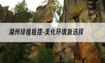 湖州绿植租摆-美化环境新选择