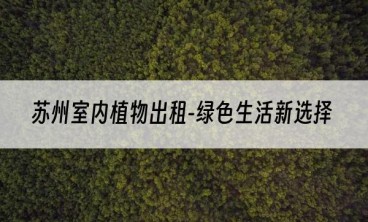 苏州室内植物出租-绿色生活新选择