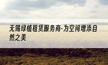 无锡绿植租赁服务商-为空间增添自然之美