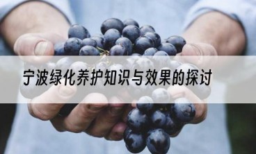 宁波绿化养护知识与效果的探讨