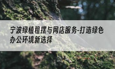 宁波绿植租摆与网店服务-打造绿色办公环境新选择