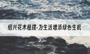 绍兴花木租摆-为生活增添绿色生机