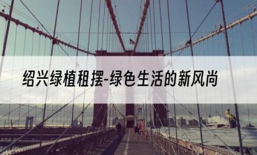 绍兴绿植租摆-绿色生活的新风尚