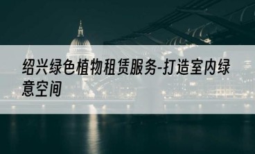 绍兴绿色植物租赁服务-打造室内绿意空间