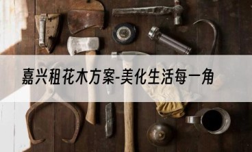 嘉兴租花木方案-美化生活每一角