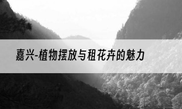 嘉兴-植物摆放与租花卉的魅力