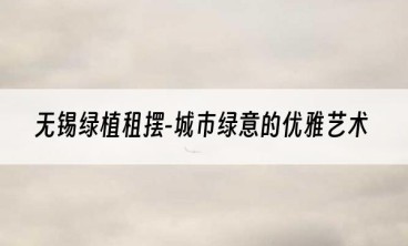 无锡绿植租摆-城市绿意的优雅艺术