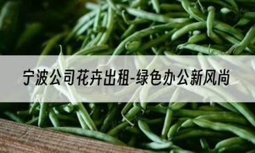 宁波公司花卉出租-绿色办公新风尚