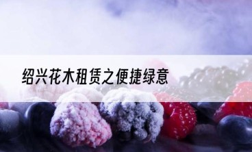 绍兴花木租赁之便捷绿意