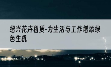 绍兴花卉租赁-为生活与工作增添绿色生机