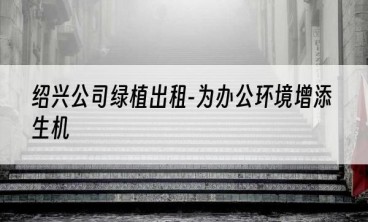 绍兴公司绿植出租-为办公环境增添生机