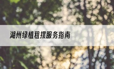 湖州绿植租摆服务指南