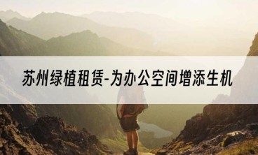 苏州绿植租赁-为办公空间增添生机