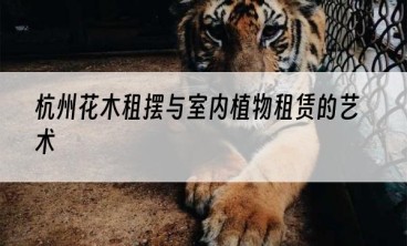 杭州花木租摆与室内植物租赁的艺术