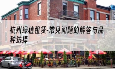 杭州绿植租赁-常见问题的解答与品种选择