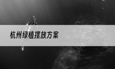 杭州绿植摆放方案