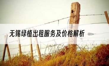 无锡绿植出租服务及价格解析