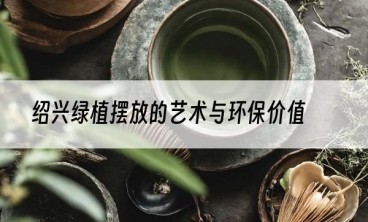 绍兴绿植摆放的艺术与环保价值