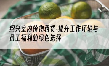 绍兴室内植物租赁-提升工作环境与员工福利的绿色选择