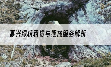嘉兴绿植租赁与摆放服务解析