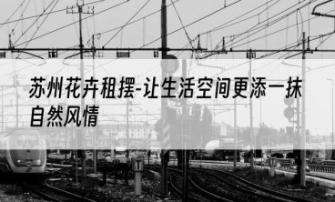 苏州花卉租摆-让生活空间更添一抹自然风情